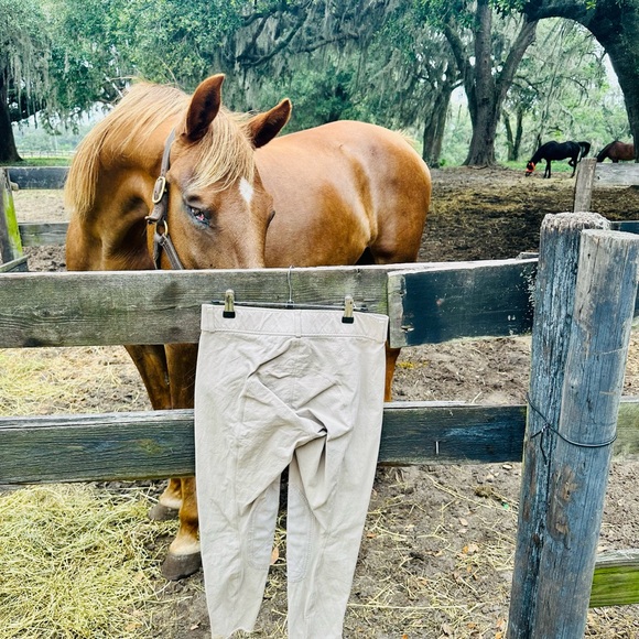 Marcel Toulouse Ladies Pro Cotton Knee Patch Horse Riding Breech - Picture 3 of 4